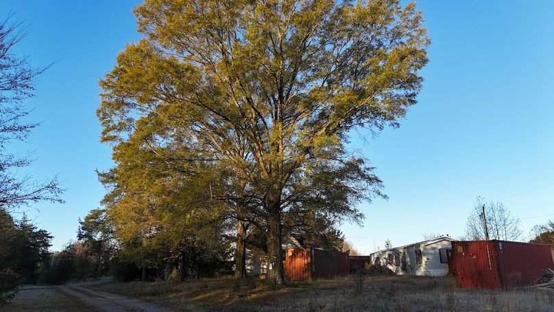 dji_fly_20251114_073748_0971_1763127734975_photo