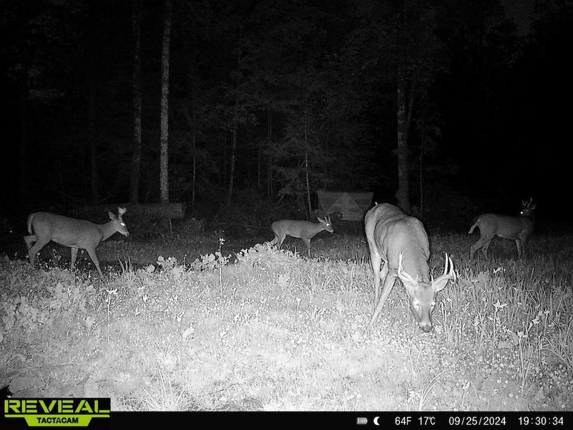 865814048724973-90-3-09252024193034-HD-W1010149