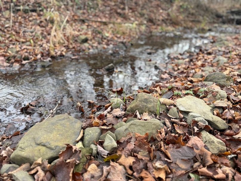 Tompkins_15.15_Galarza Photo 10