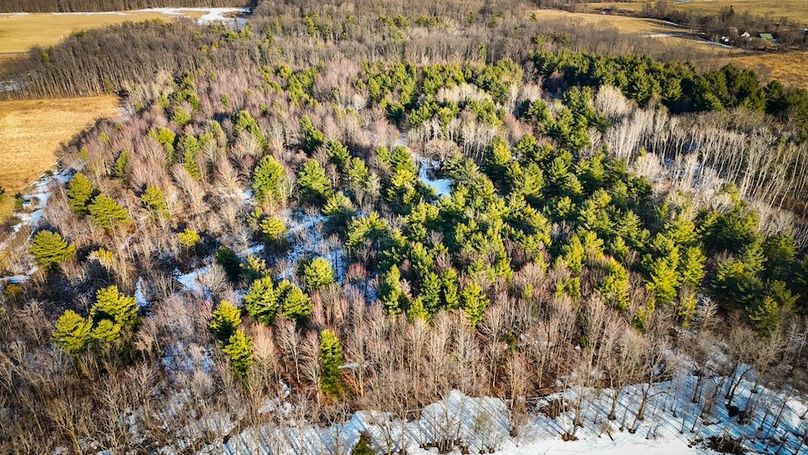 Seneca_43_Hohwald_Photos_7