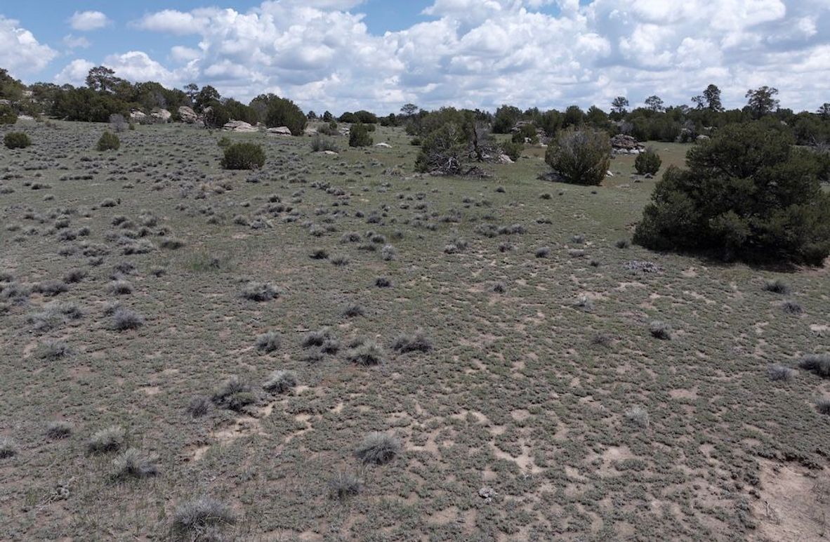 DJI_20250508124138_0057_D