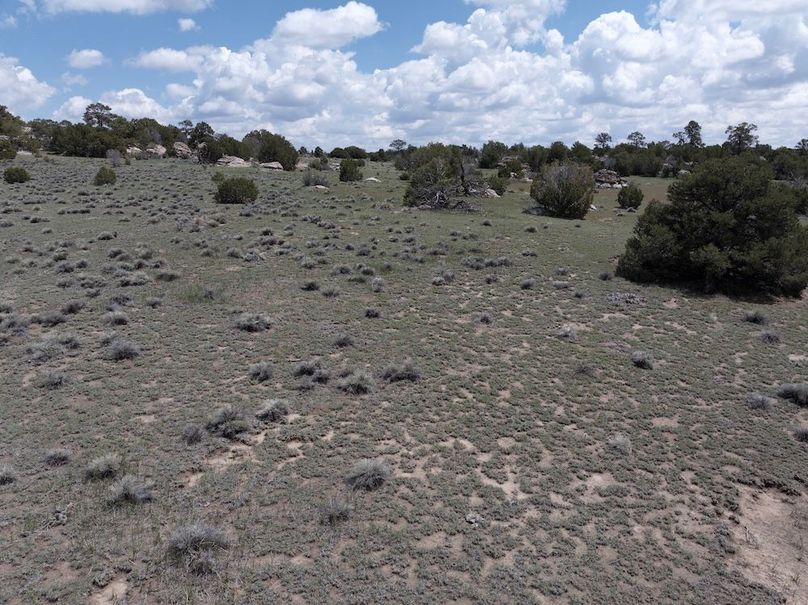DJI_20250508124138_0057_D