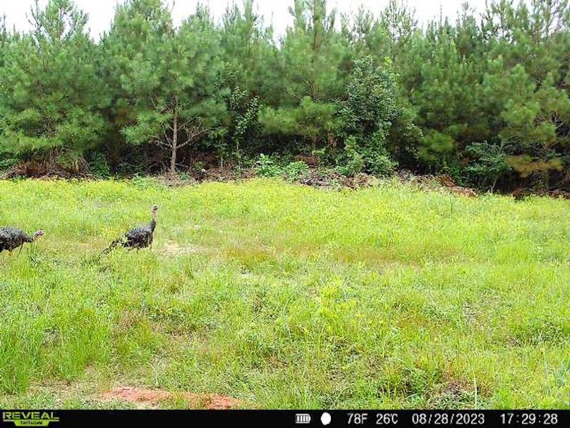 Copy of Prentiss County, MS 703-09