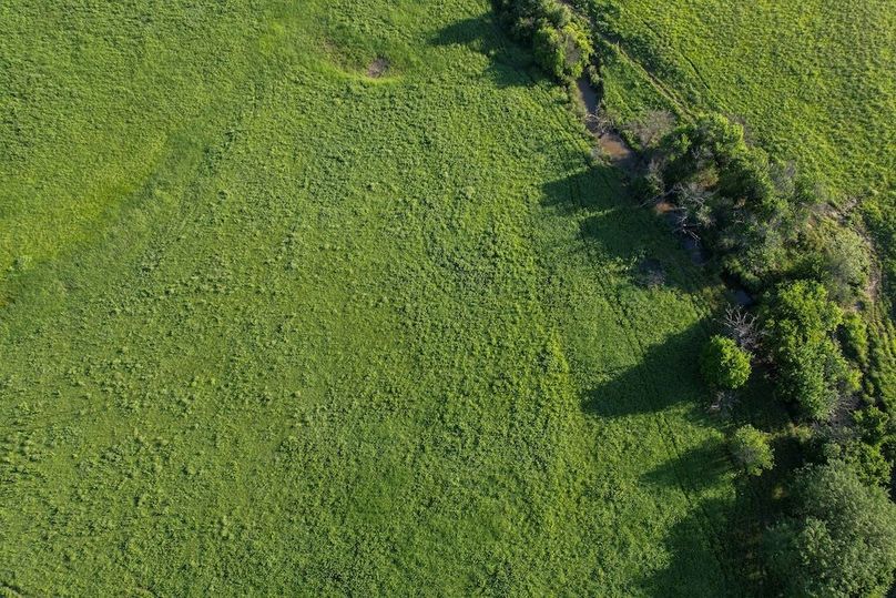 DJI_0695