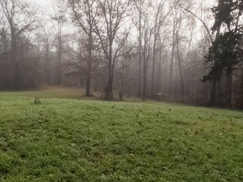 Claiborne Co - 274 - Marian-011