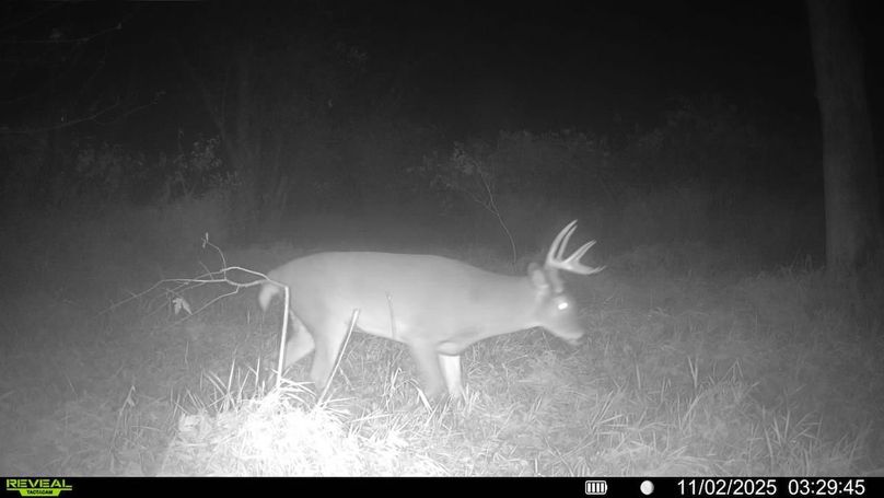 016579008159910-100-4-11022025032945-SYFW00289