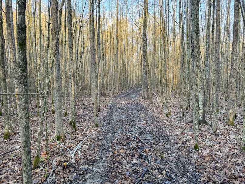 Panola 164.7 SPI Land Ventures-61