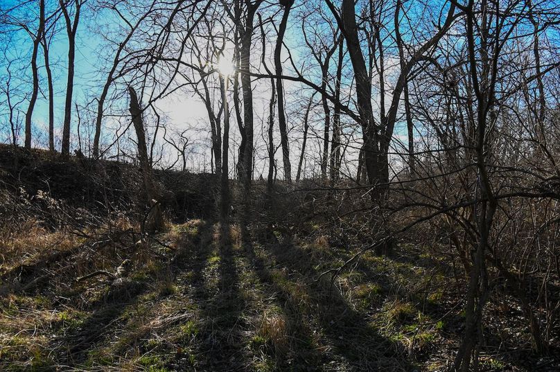 vandalia 450 (2)-2221