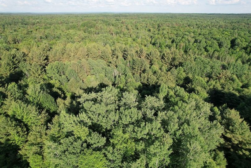 Jefferson_260.3_ Lobach_Photos_49