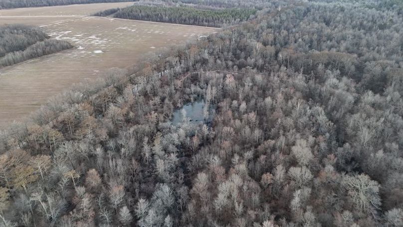 311 new20260217_0466