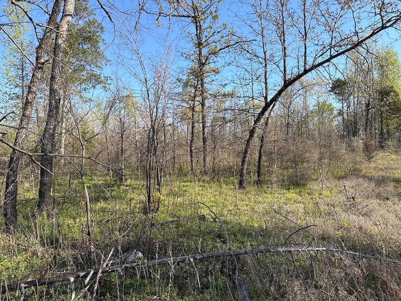 DJI_20260409_085820_453