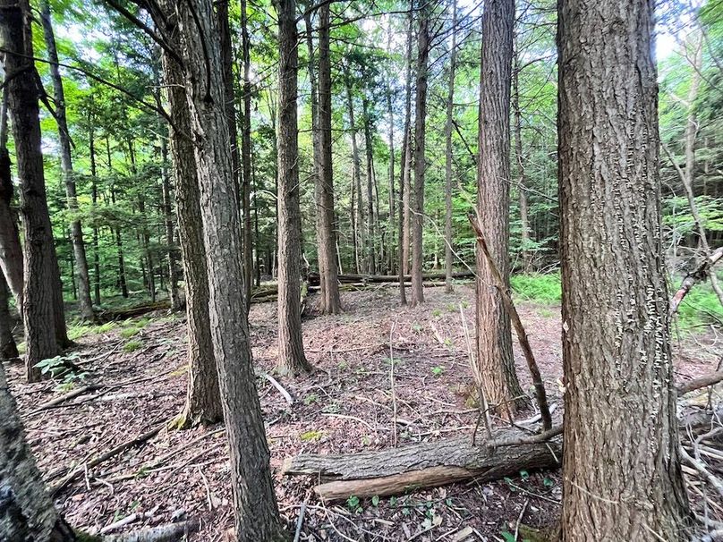 Jefferson_260.3_ Lobach_Photos_27