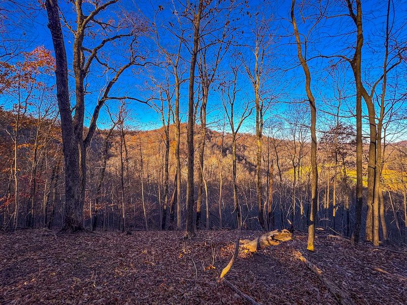 Pleasants_Wood 169.97 AC Cokeley-55