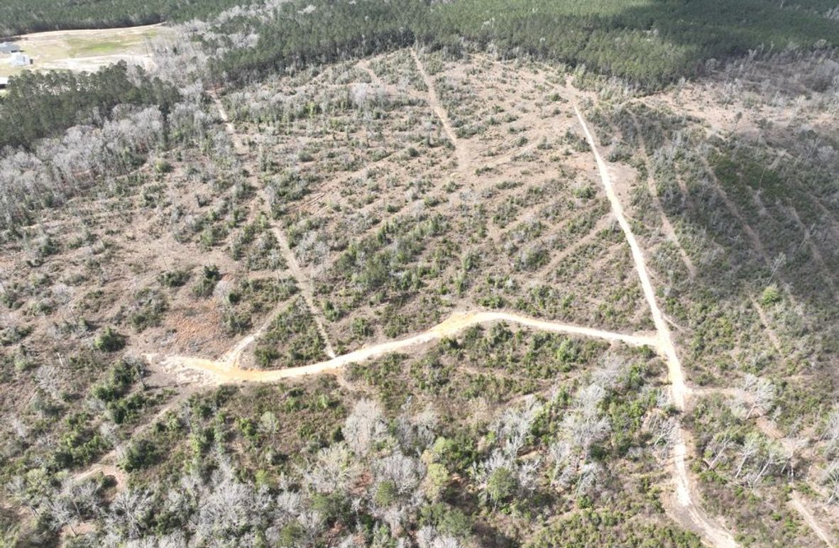 dji_fly_20260303_140058_295_1772637954980_photo