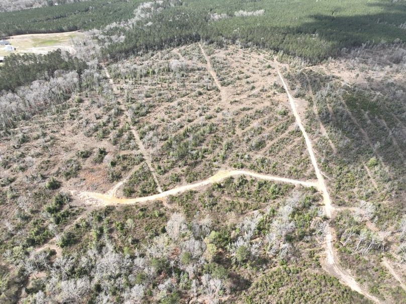 dji_fly_20260303_140058_295_1772637954980_photo