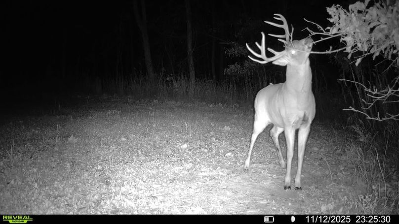 016579007489151-36-4-11122025232530-V-SYFW03424