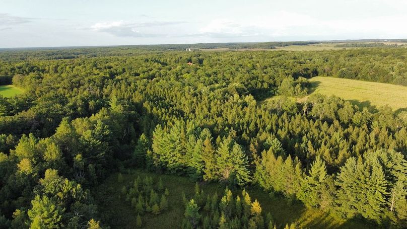 dji_fly_20240811_190834_739_1723421335051_photo_optimized