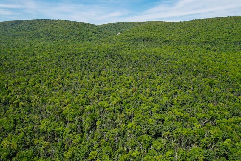 dji_fly_20250512_130608_980_1747069839963_photo