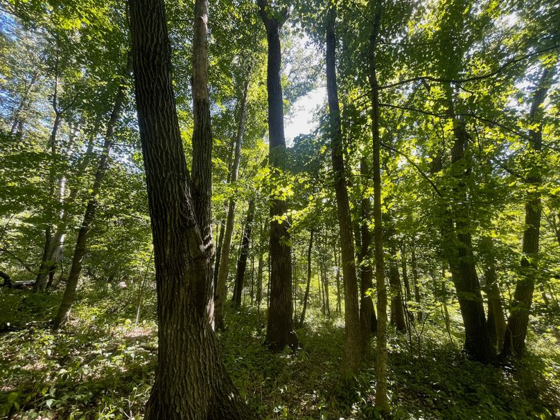 Grant 110 - 30 of 47