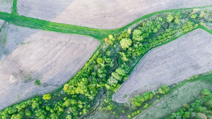 DJI_0350