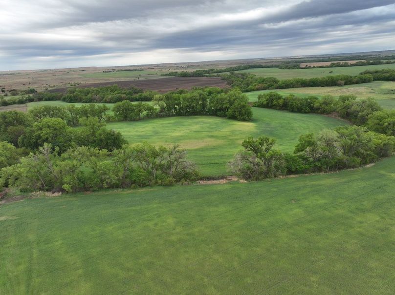 Copy of dji_fly_20240501_075902_970_1714569016363_photo