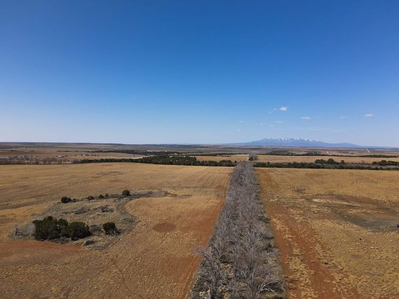 DJI_0974