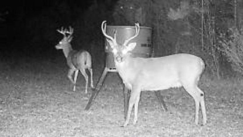 CF12BADF-1430-48B0-A398-465CA3B01759_1_201_a-2