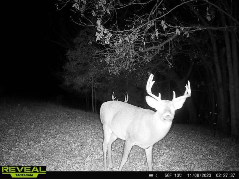 Screenshot 2024-03-03 at 7.12.53 PM