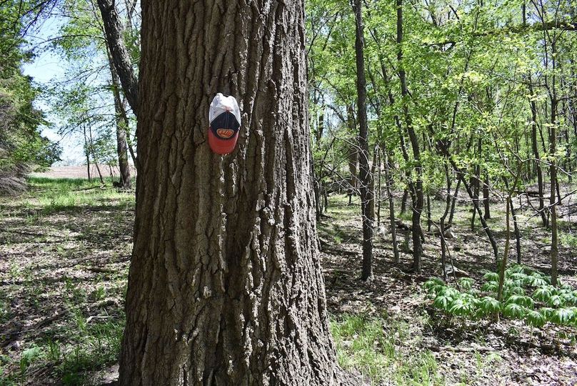 32