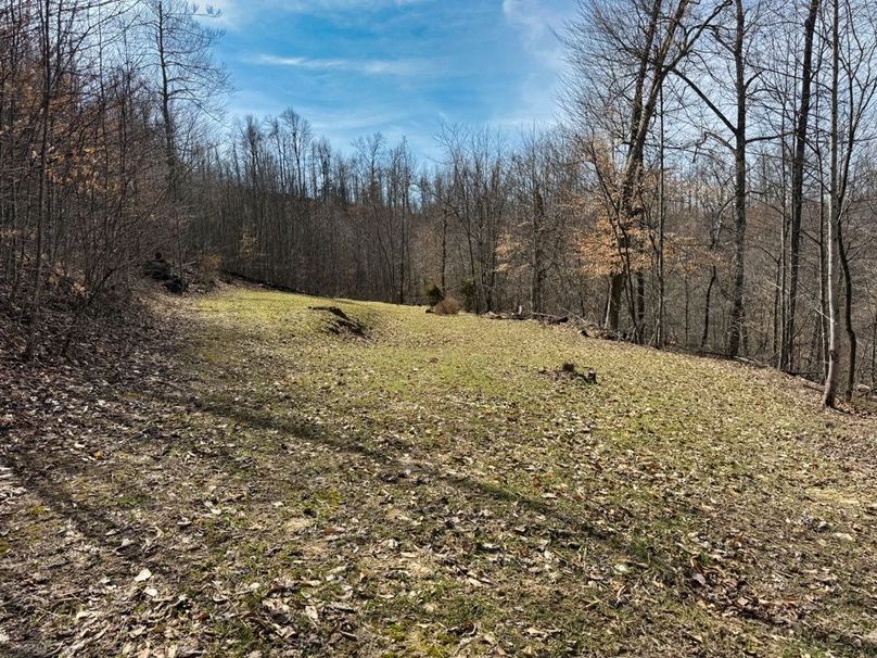 019 another great food plot for wildlife on the southern end of the tract-2