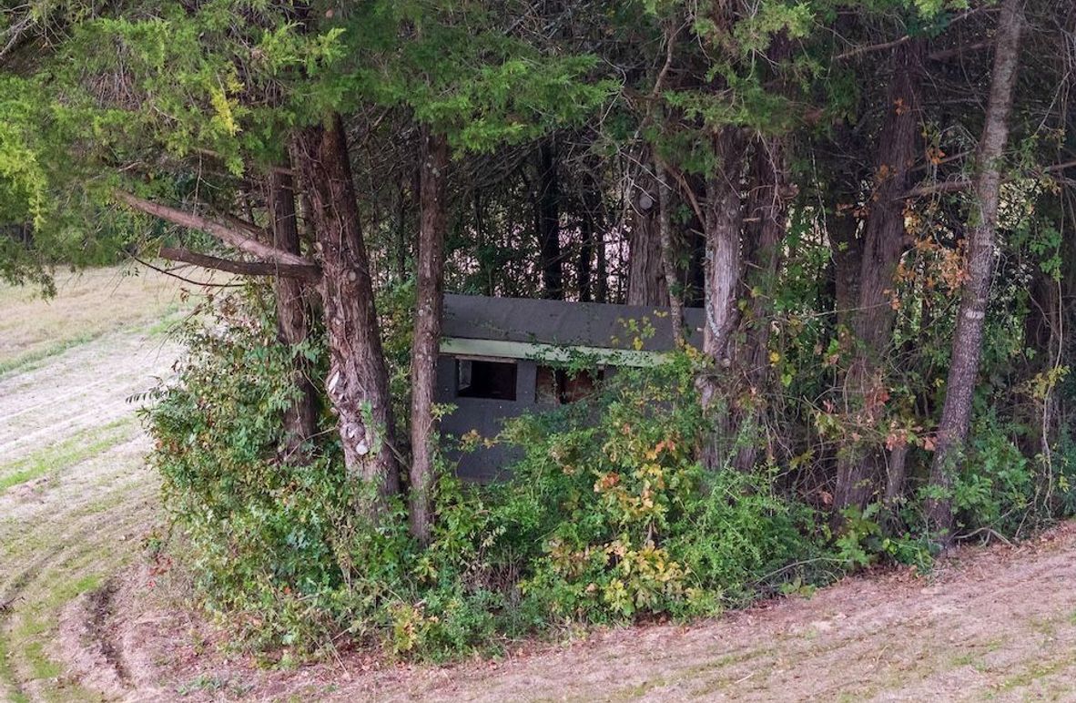 5DJI_20251112172834_0029_D-HDR