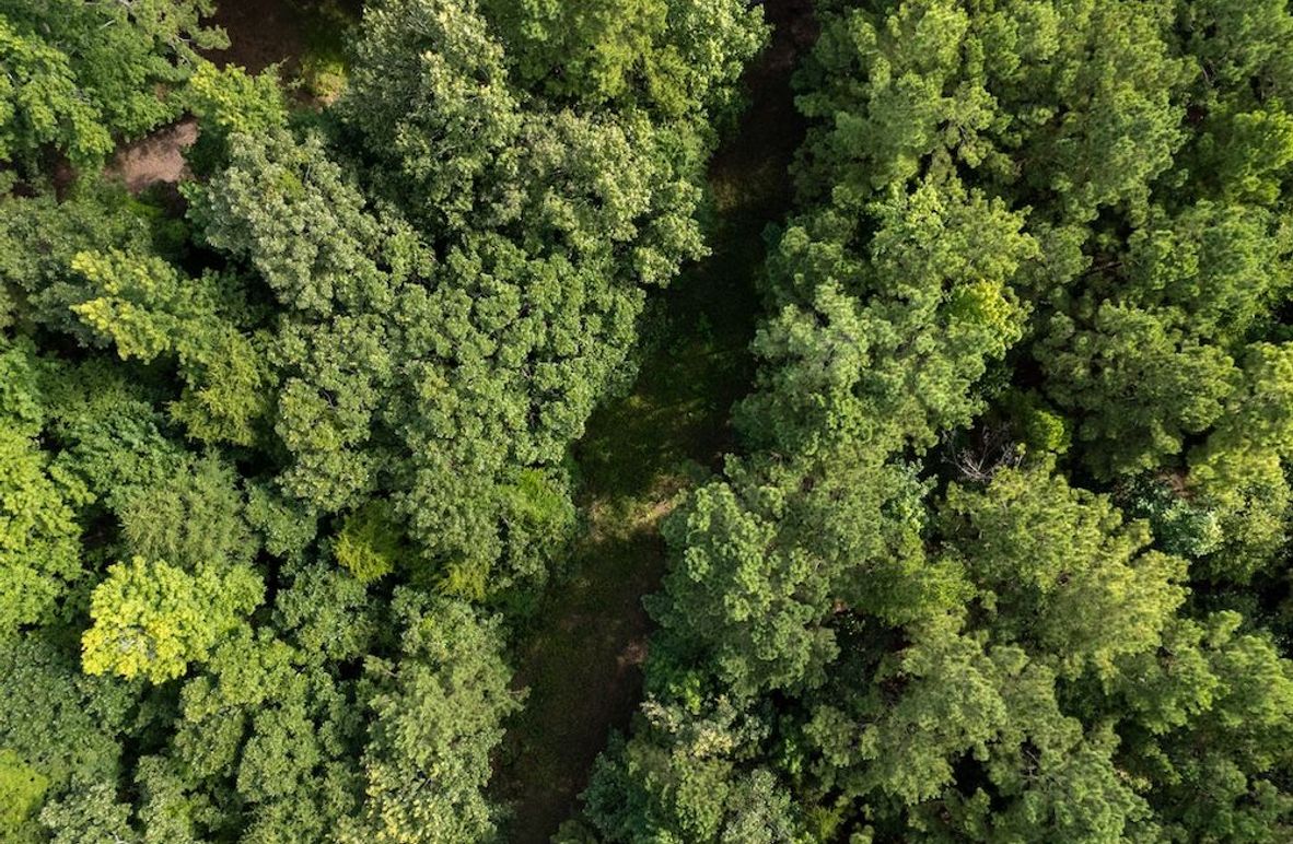 5 Upshur Co. 26ac - Genignani-04