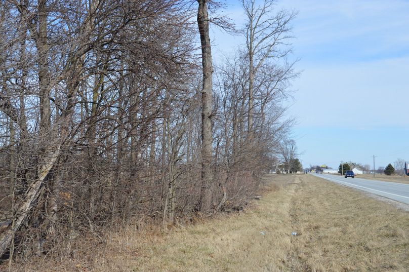 Looking east from drive