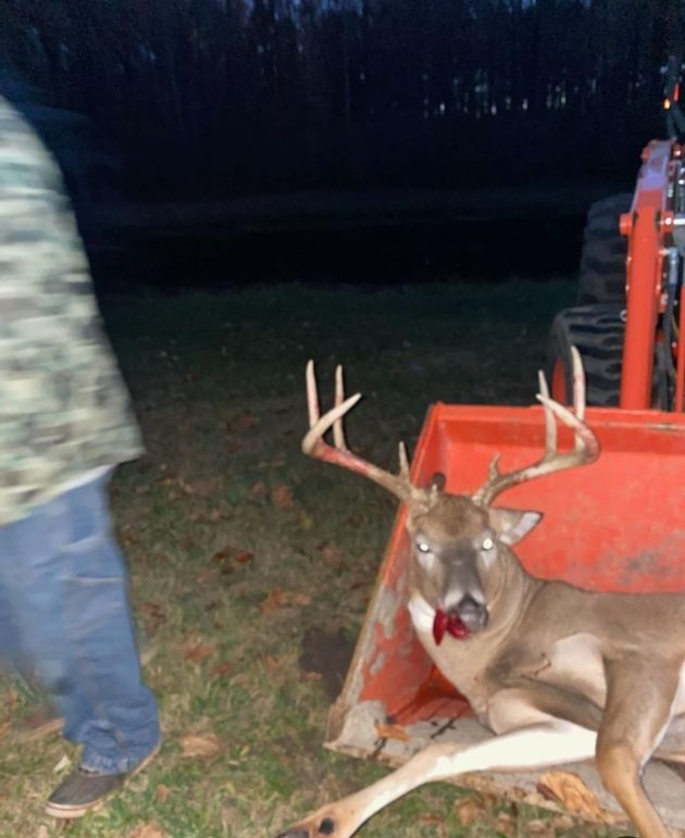 Screenshot_20230402_154032_Gallery