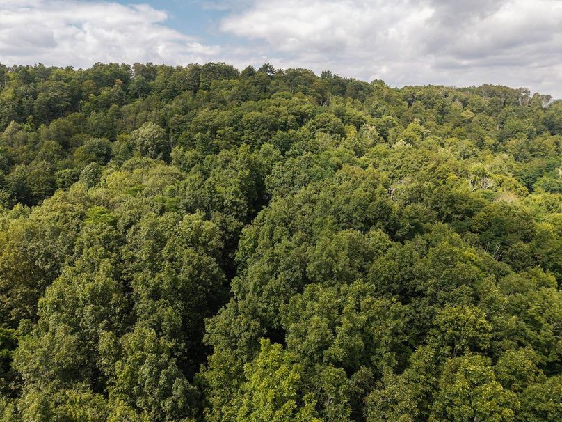 DJI_20250808152017_0004_D