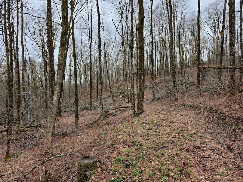 photo_6b36abe9-9ae7-41bf-835c-b2b9af593611