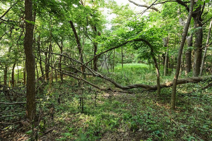 HARRISON CO. IA 24.85_75