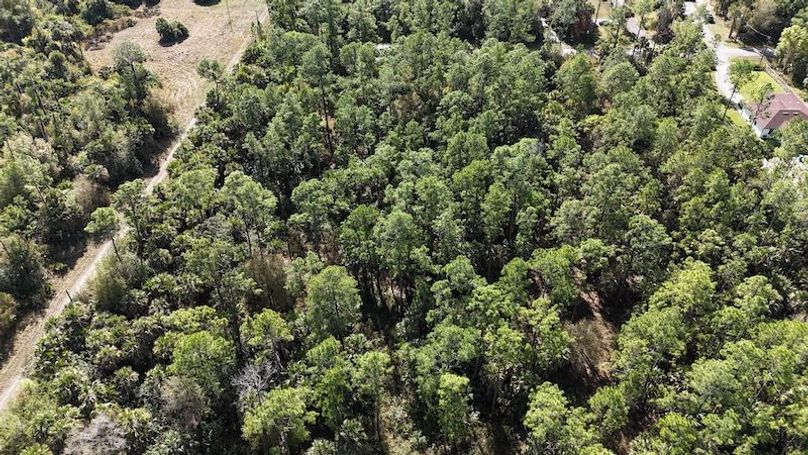 DJI_20260108113457_0151_D