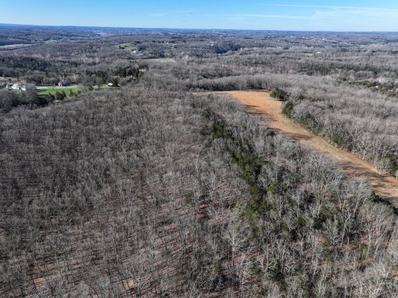 DJI_20260317092546_0957_D