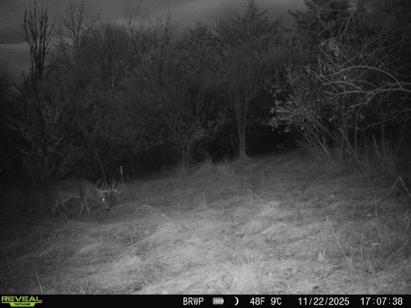 860322065924133-100-4-11222025170738-W1001297