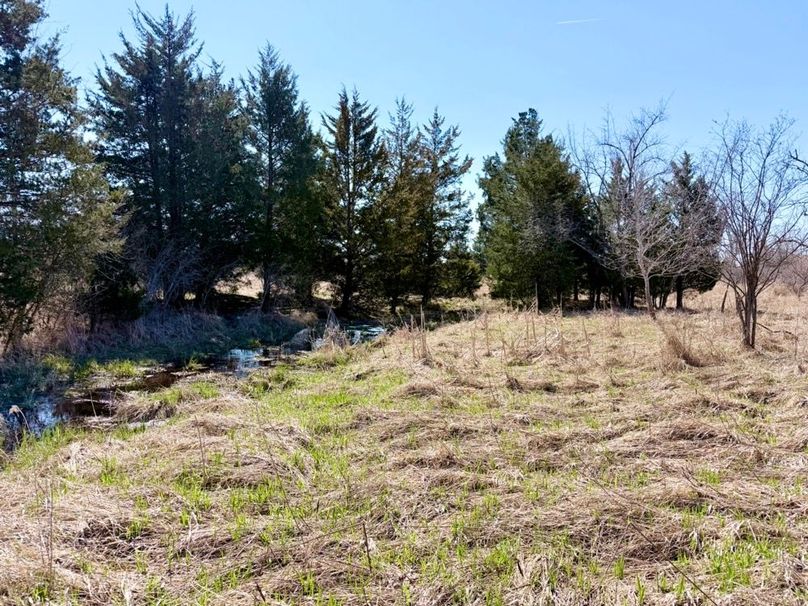Center Field Cedars on CReek