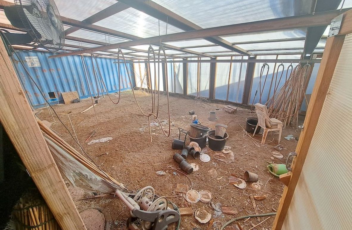 702342303351987373 2