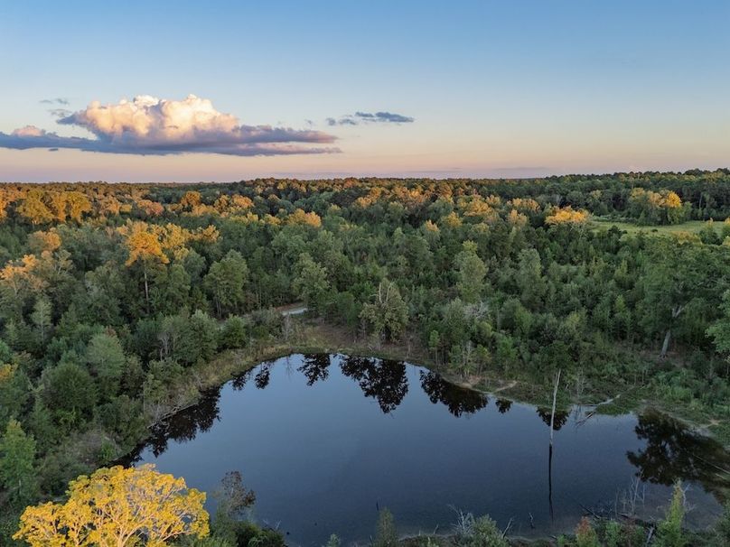 2 Edited Harison co. 206 - Ed Robb-038