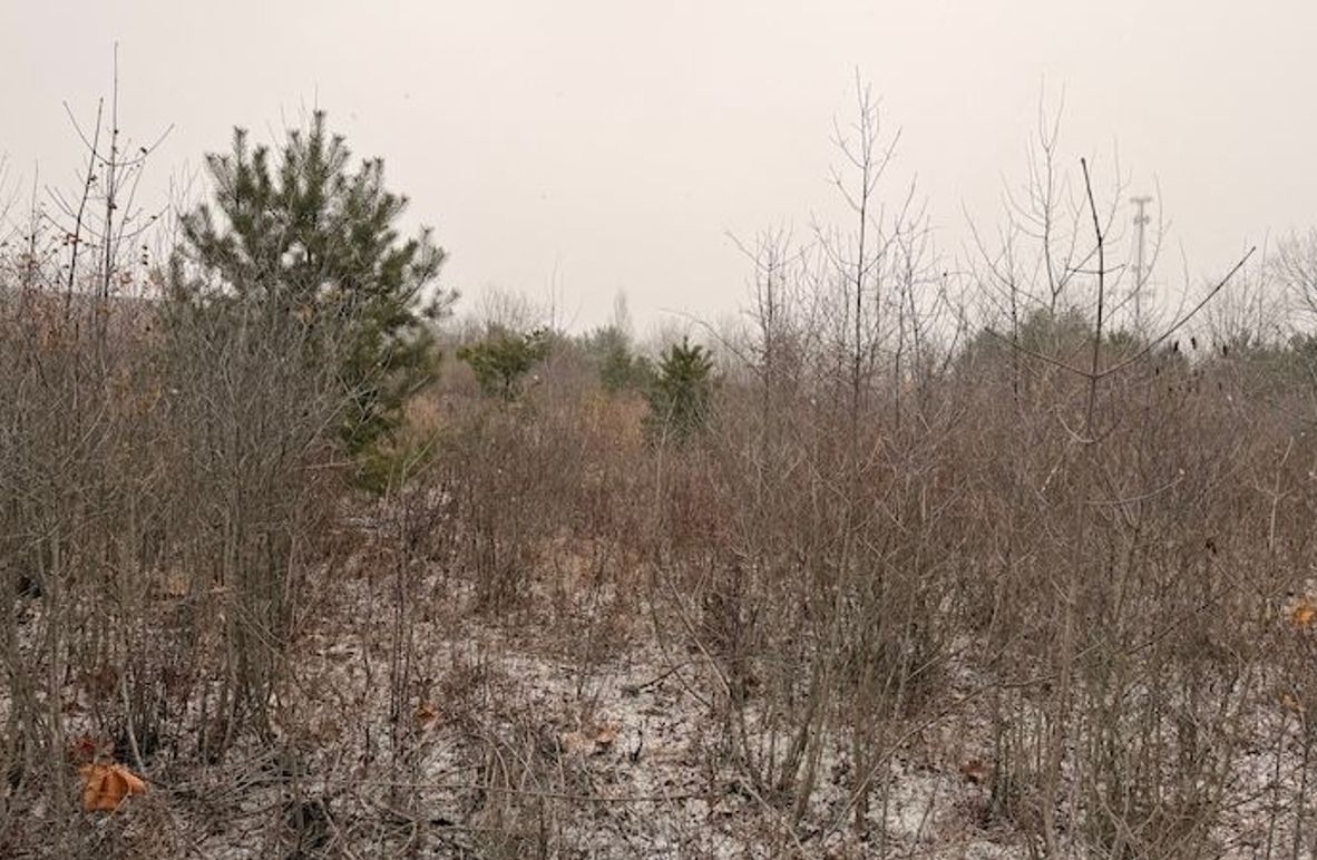 5B5253F9-85BB-4F44-824C-150B9CA8C53E_1_201_a