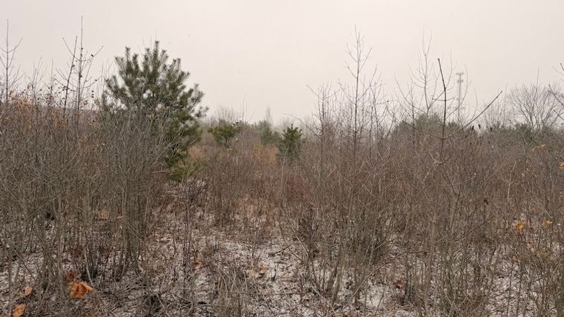 5B5253F9-85BB-4F44-824C-150B9CA8C53E_1_201_a