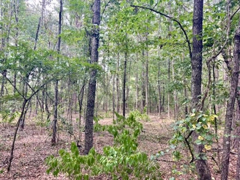 513DFAA9-B216-47C2-B3B9-B34A6D790572_4_5005_c