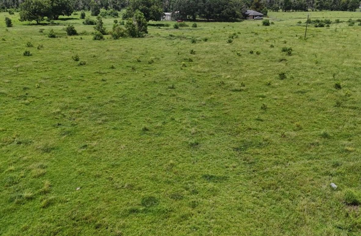 dji_fly_20250703_035152_0019_1752071308195_photo