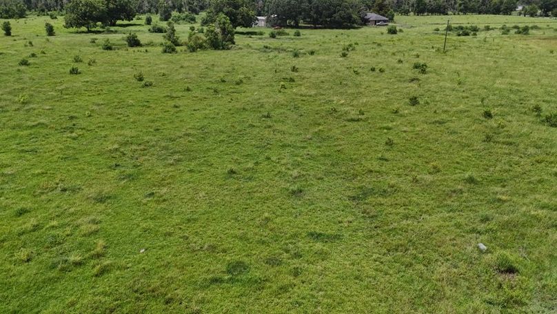 dji_fly_20250703_035152_0019_1752071308195_photo