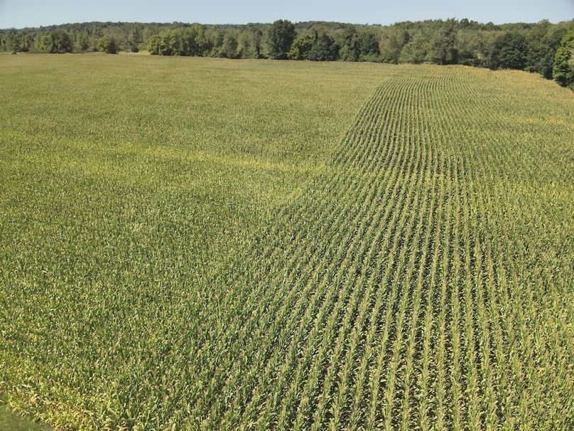 DJI_20240823235705_0021_V