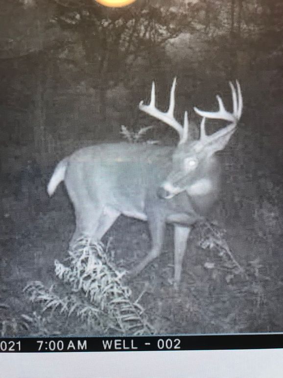 1E6EF9CC-BD67-4029-AC34-121BAE710A2B